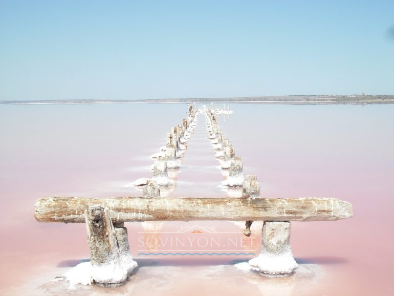 Куяльник Одесса фото